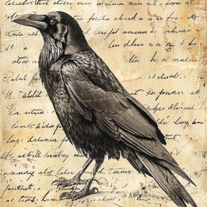 SHIPS SATURDAY 9/13 The Raven #6 | A4 Mulberry Rice Paper | Paper for Decoupage | Craft Kreatively | Halloween Crow