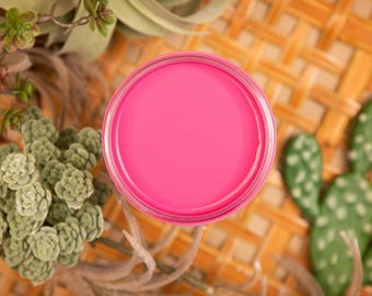 Pintura mineral todo en uno Prickly Pear / Silk / Pintura Dixie Belle / Pintura acrílica / Imprimación y capa superior integradas / Rosa