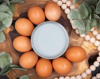 Vintage Duck Egg | Chalk Mineral Paint | Dixie Belle | Furniture & Crafts