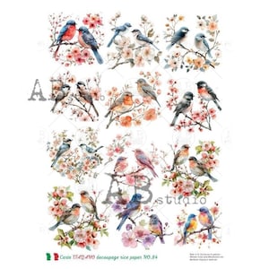 Beautiful Bird Floral  Minis | A4 Rice Paper | A4 Rice Paper | Paper for Decoupage | AB Studios | Carte Italiano