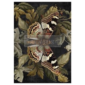 Butterfly Conservatory Tales | A1 Fiber Decoupage | Paper for Decoupage | Redesign with Prima