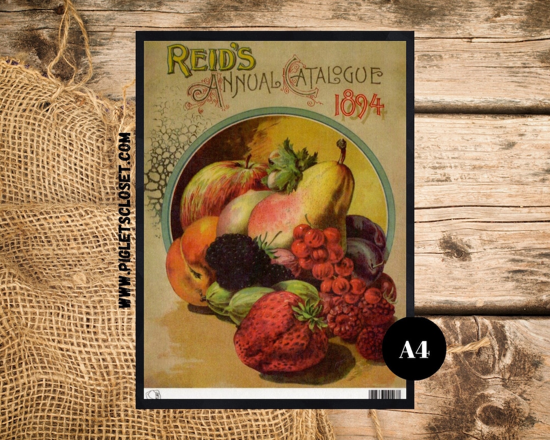 1894 Reid's Fruit Catalog Rice Paper Calambour Italy Paper for