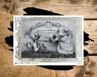 Dog Watering Plants  | A4 Rice Paper | Paper for Decoupage | Paper Designs Italy | Vintage Pet Photo