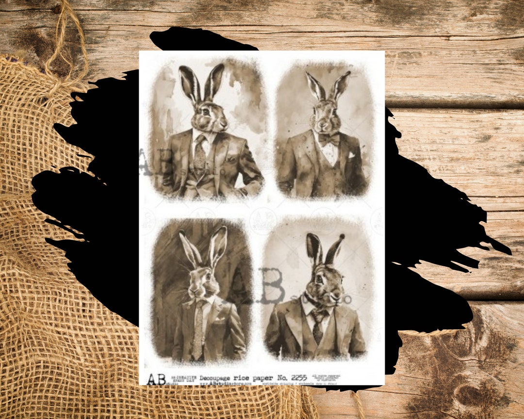Sepia Point Rabbit Sepia Rabbit Portraits | A4 Rice Paper | 8.3