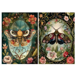 Victorian Moths #3 | A4 Mulberry Rice Paper | Paper for Decoupage | Craft Kreatively