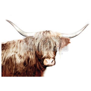 Majestic Moo | A1 Fiber Decoupage | Paper for Decoupage | Redesign with Prima | Highland Cow