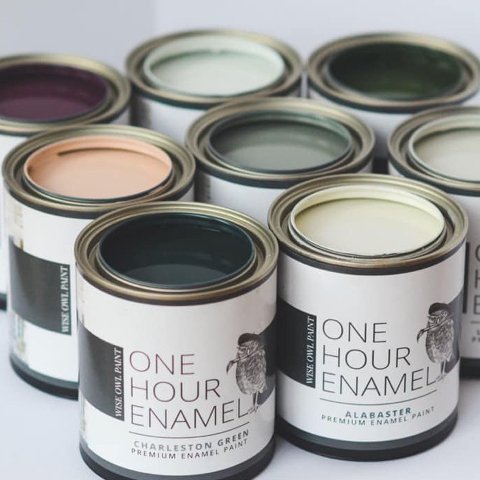 Higgins Lake One Hour Enamel Wise Owl Paint & Etsy