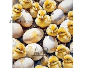 Chicken and The Egg | A4 Rice Paper | Paper for Decoupage | AB Studios, Craft Paper