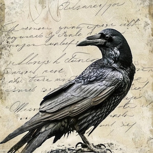 SHIPS SATURDAY 9/13 The Raven #4 | A4 Mulberry Rice Paper | Paper for Decoupage | Craft Kreatively | Halloween Crow