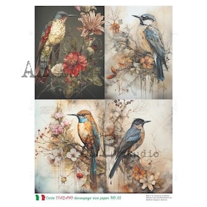 Watercolor Birds Quads | A4 Rice Paper | Paper for Decoupage | Carte by AB Studios