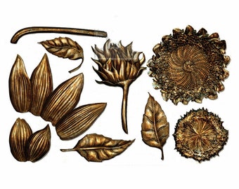 Re-Design by Prima Silicone Decor Mould - Forest Treasures