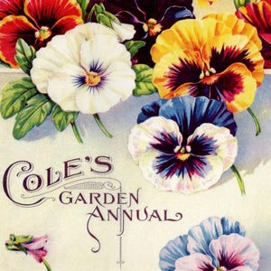 Cole&#39;s Garden Annual Pansies 1914 | Rice Paper A4 | Calambour | 8.75&quot; x 12.5&quot; Paper for Decoupage | Vintage Advertising