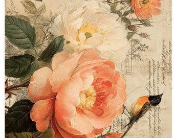 Peach Blossom Hummingbird | A4 Rice Paper for Decoupage | LaBlanche