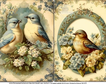 Spring Birds | A4 Rice Paper | 8.3" x 11.7" Paper for Decoupage | Decoupage Central