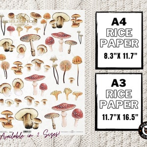 Mushrooms | Rice Paper | ITD Collection | Decoupage Paper | Red Mushroom & Fungi