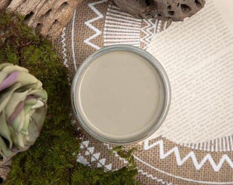Spanish Moss | Chalk Mineral Paint | Dixie Belle | Furniture & Crafts