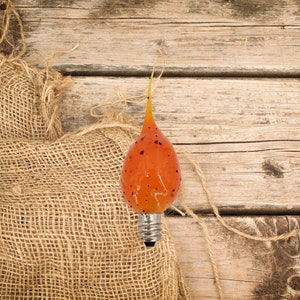 Primitive Pumpkin Spice | Silicone Bulb | Night Light Bulb | C7 4W | Vickie Jean's