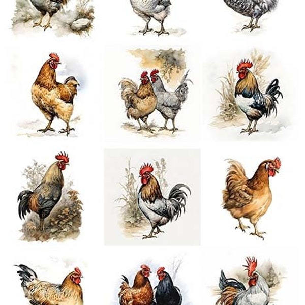 Rooster & Chicken Minis | A4 Rice Paper | Paper for Decoupage | ITD Collection, Farmhouse