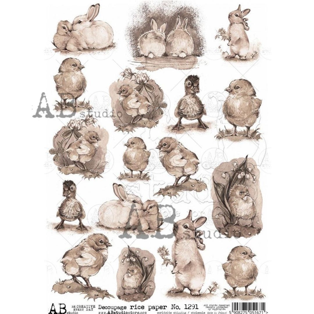 Sepia Point Rabbit Sepia Spring Minis | 8.3