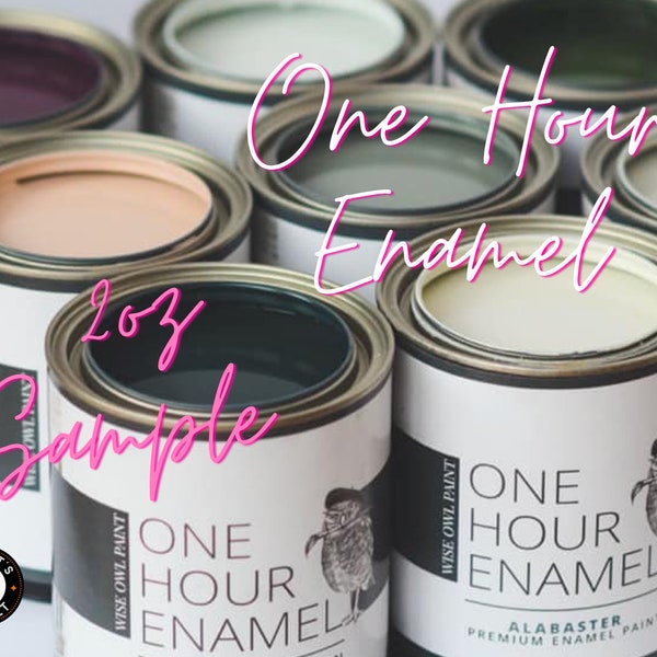 2oz Sample | One Hour Enamel | Wise Owl Paint | Furniture, Front Door, & Cabinet Paint