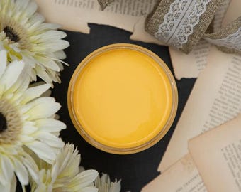 Daisy | Chalk Mineral Paint | Dixie Belle | Crafts & Furniture