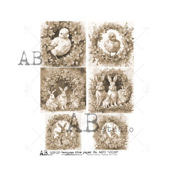 Peter Rabbit Rice Paper - Etsy