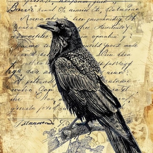 SHIPS SATURDAY 9/13 The Raven #5 | A4 Mulberry Rice Paper | Paper for Decoupage | Craft Kreatively | Halloween Crow