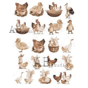 Chicken & Duck Minis | A4 Rice Paper | Paper for Decoupage | AB Studios | Carte Italiano