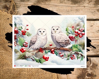 Festive Owls |  A4 Rice Paper | Paper for Decoupage | Paper Designs | Christmas