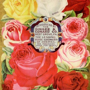 D&C Set of Roses | A4 Rice Paper | Paper for Decoupage | Calambour | Floral Advertising
