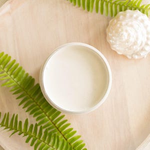 May include: A round, off-white container filled with a creamy substance, set on a light wooden tray. Green fern fronds and a white seashell decorate the tray, creating a natural, coastal theme.