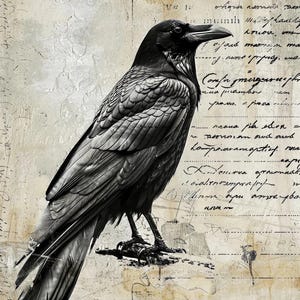 SHIPS SATURDAY 9/13 The Raven #3 | A4 Mulberry Rice Paper | Paper for Decoupage | Craft Kreatively | Halloween Crow