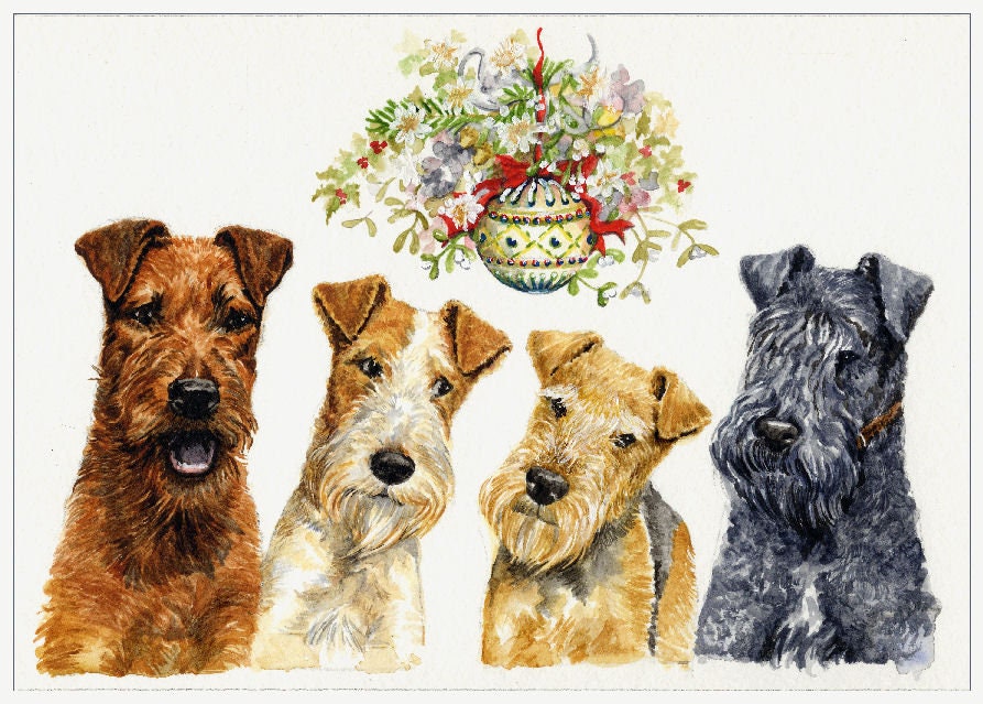 irish wire haired fox terrier