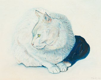 White Cat - Giclee Print