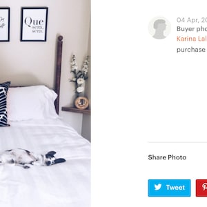 May include: A white bed with a black and white patterned pillow and a small white dog sleeping on the bed. Three black framed prints with white text hang on the wall above the bed. The text on the prints reads "Thug Life", "Do Epic Shit", "Every Day is a New Beginning", and "Que Sera Sera".