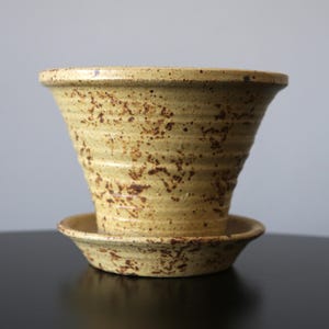 Könnte beinhalten: Ein gesprenkelter, hellgelber Keramik-Blumentopf mit passender Untertasse. Der Topf hat eine ausgestellte, konische Form mit geriffelter Textur. Die Untertasse ist rund und flach. Der Topf und die Untertasse haben einen warmen, erdigen Ton.