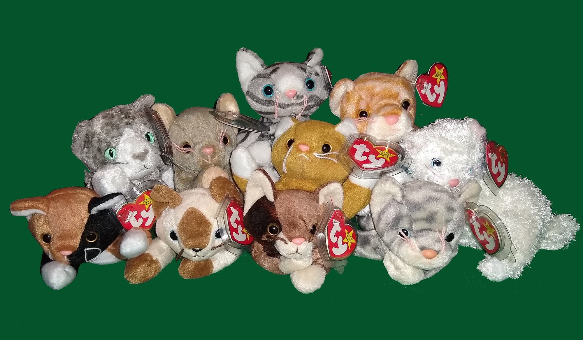 Your choice of Ty cat beanie babies