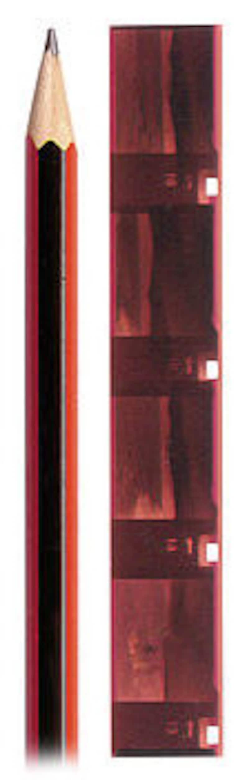 110 CN color Negative Film Processing and Printing Send Us Etsy