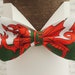 see more listings in the Bow Ties Novelty/Hobby section