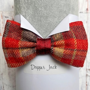 May include: Red and brown plaid bow tie with a red satin centre. The bow tie is displayed on a white background with the text "Dapper Jack".