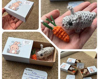 No-Sew Matchbox Pet Rabbit Crochet Pattern, with Printable Box & Name Card