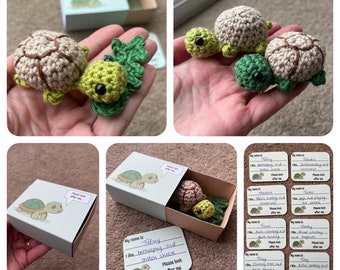 No-sew Matchbox Pet Tortoise Crochet Pattern with Printable Template Box & Name Card