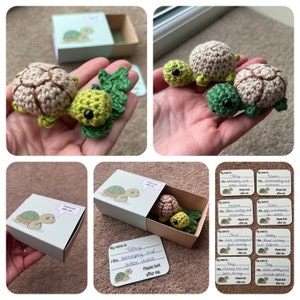 No-sew Matchbox Pet Tortoise Crochet Pattern with Printable Template Box & Name Card