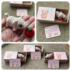 No-sew Matchbox Pet Pig Crochet Pattern with Printable Template Box & Name Card