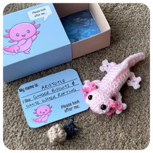 May include: A pink crocheted axolotl with black eyes and pink gills. The axolotl is sitting on a brown surface with a white card that says "My name is: ARISTOTLE. I like GINGER BISCUITS & WHITE WATER RAFTING. Please look after me."