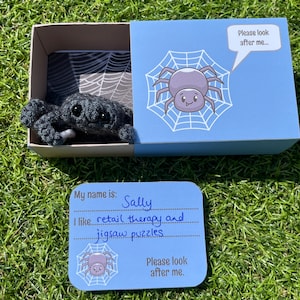 May include: A blue and white card with a cartoon spider and the text "My name is: Sally I like retail therapy and jigsaw puzzles Please look after me."  The card is sitting on a green grassy surface.