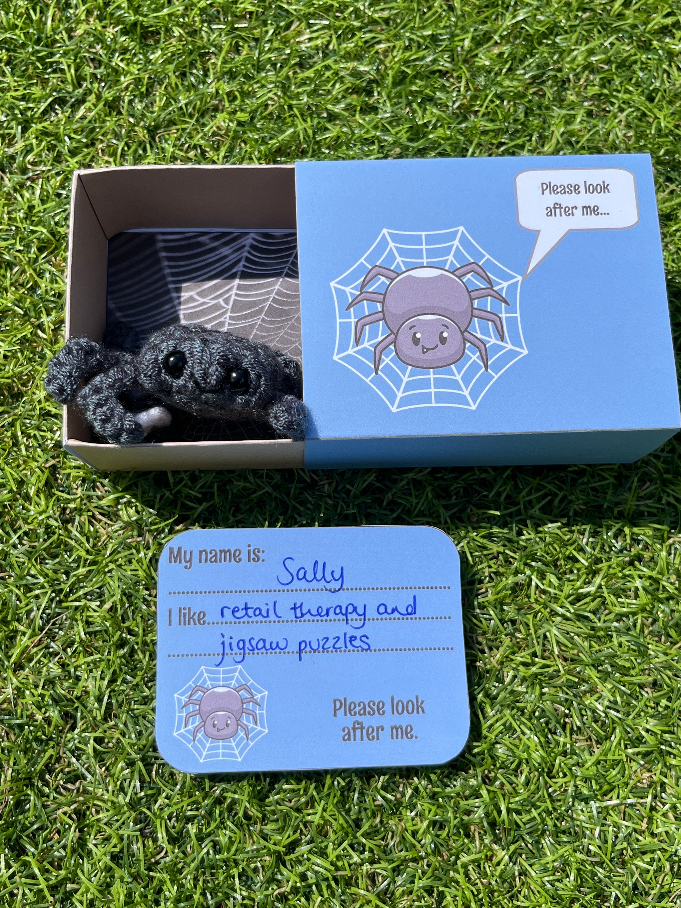 No-Sew Matchbox Pet Spider Crochet Pattern