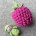 Raspberry Pocket Pal Crochet Pattern - Etsy