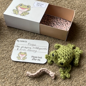 May include: A small green crocheted frog with black eyes and a brown crocheted worm. The frog is sitting on a brown surface. A card with the text "My name is: Fergus I like playing tiddlywinks & Irish dancing. Please look after me." is next to the frog.