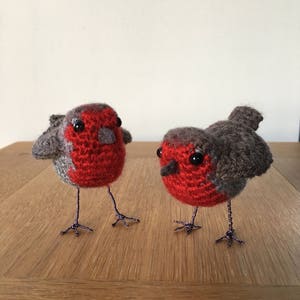 Lifelike Robin Crochet Pattern image 6
